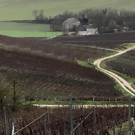 Floressens En Champagne Terrasse Privative Sur Le Vignoble * Fleury-la-Riviere