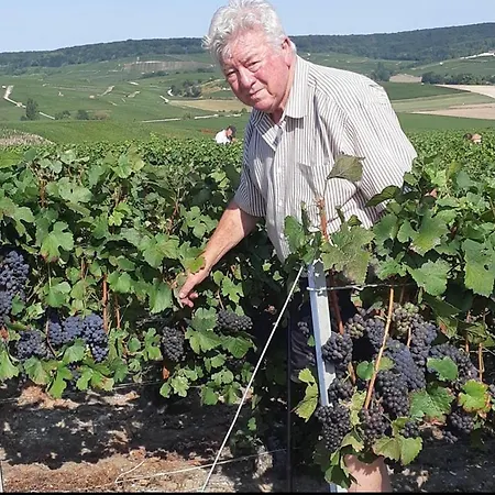 Floressens En Champagne Terrasse Privative Sur Le Vignoble Fleury-la-Riviere