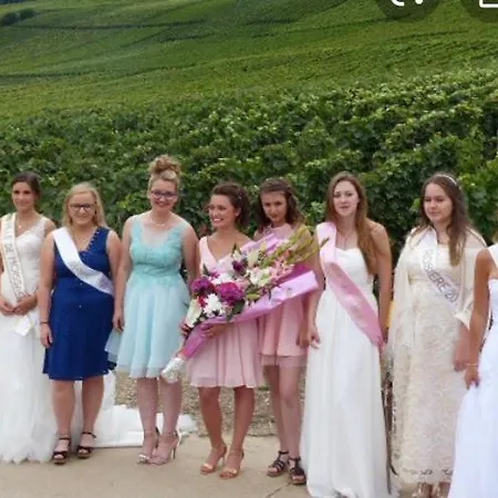 Floressens En Champagne Terrasse Privative Sur Le Vignoble *