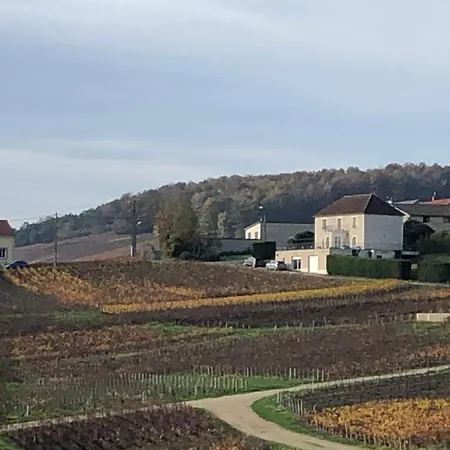 Floressens En Champagne Terrasse Privative Sur Le Vignoble *
