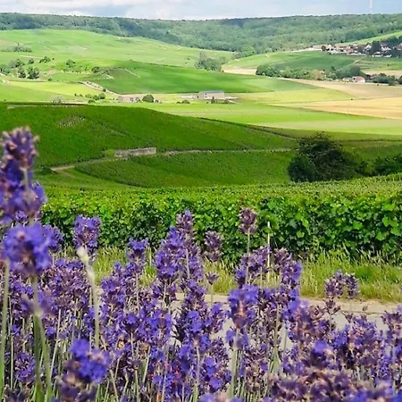 Floressens En Champagne Terrasse Privative Sur Le Vignoble Holiday home *