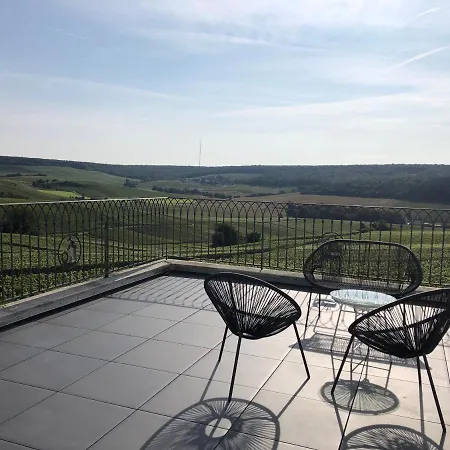 Floressens En Champagne Terrasse Privative Sur Le Vignoble *