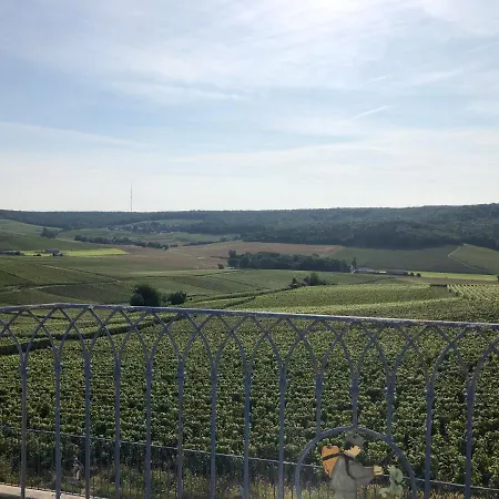 בית נופש Floressens En Champagne Terrasse Privative Sur Le Vignoble