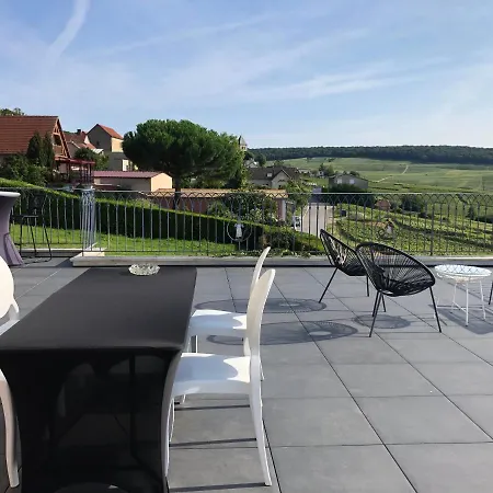 Floressens En Champagne Terrasse Privative Sur Le Vignoble Fleury-la-Riviere