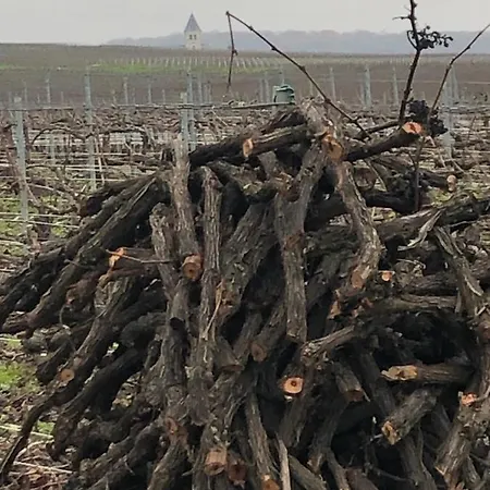 בית נופש Floressens En Champagne Terrasse Privative Sur Le Vignoble