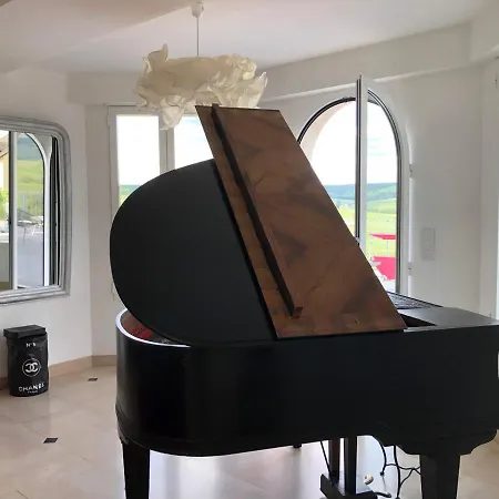 Floressens En Champagne Terrasse Privative Sur Le Vignoble Fleury-la-Riviere