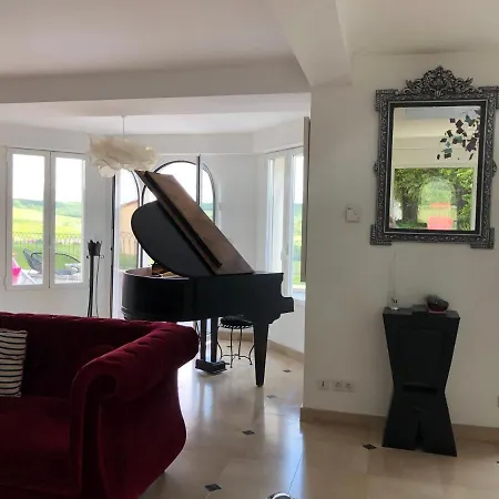 Floressens En Champagne Terrasse Privative Sur Le Vignoble בית נופש *