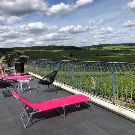 بيت للعطل Floressens En Champagne Terrasse Privative Sur Le Vignoble *