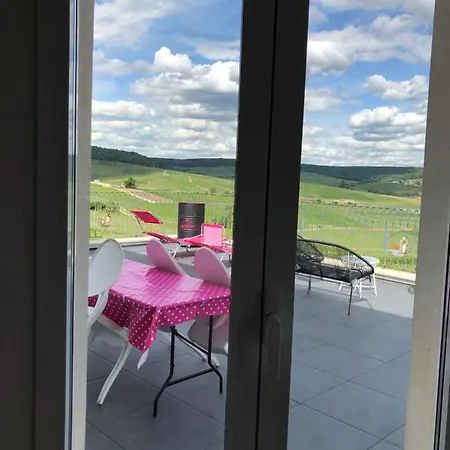 Floressens En Champagne Terrasse Privative Sur Le Vignoble בית נופש Fleury-la-Riviere