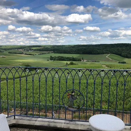 Floressens En Champagne Terrasse Privative Sur Le Vignoble *