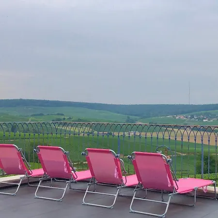 Floressens En Champagne Terrasse Privative Sur Le Vignoble Holiday home