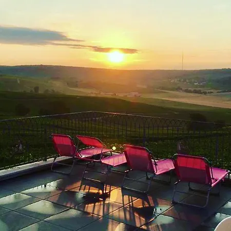 Holiday home Floressens En Champagne Terrasse Privative Sur Le Vignoble *