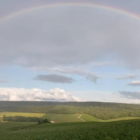 בית נופש Floressens En Champagne Terrasse Privative Sur Le Vignoble