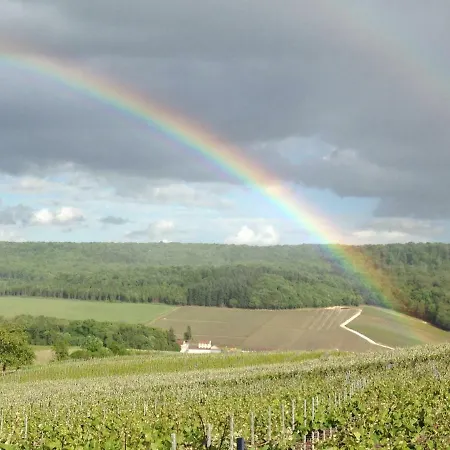 Floressens En Champagne Terrasse Privative Sur Le Vignoble *