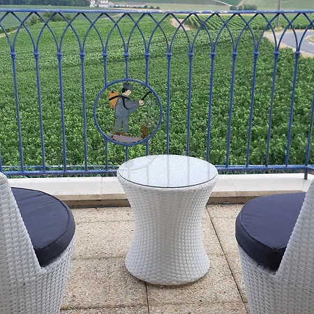 Floressens En Champagne Terrasse Privative Sur Le Vignoble Holiday home