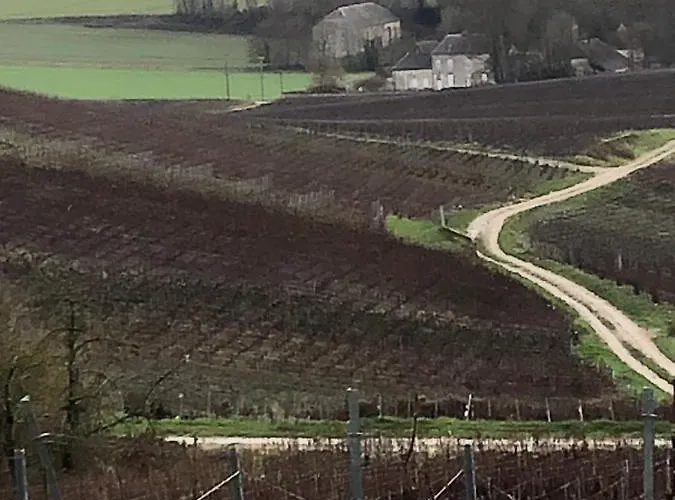 Floressens En Champagne Terrasse Privative Sur Le Vignoble * Fleury-la-Riviere