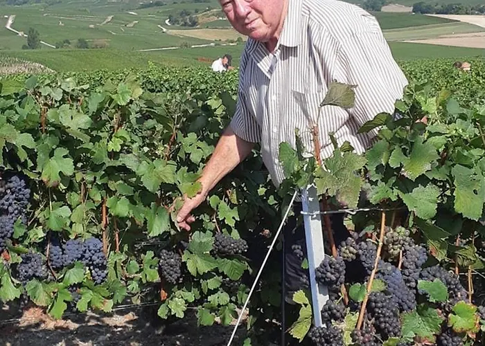 Floressens En Champagne Terrasse Privative Sur Le Vignoble Fleury-la-Riviere