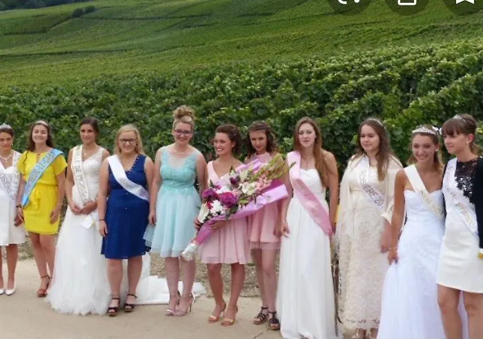 Floressens En Champagne Terrasse Privative Sur Le Vignoble *