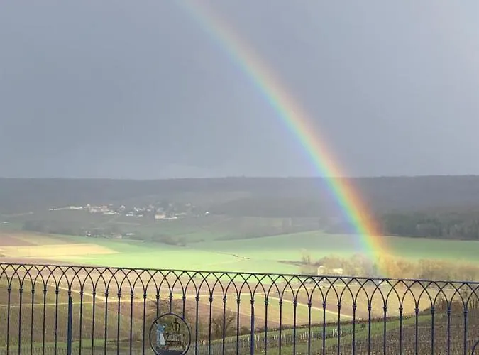 Floressens En Champagne Terrasse Privative Sur Le Vignoble * Fleury-la-Riviere