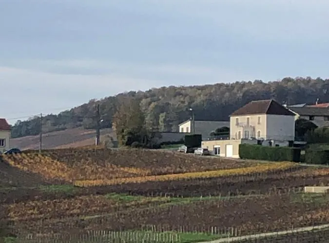 Floressens En Champagne Terrasse Privative Sur Le Vignoble *