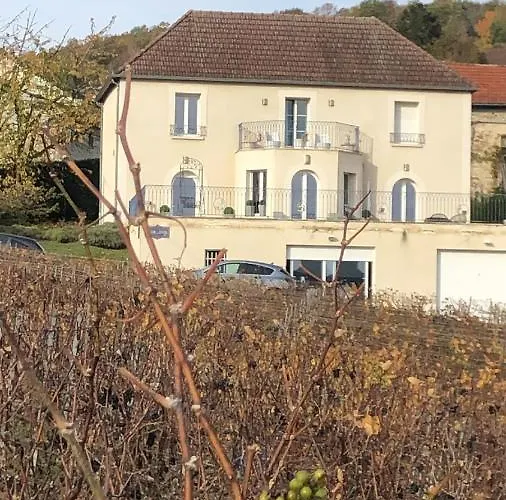Floressens En Champagne Terrasse Privative Sur Le Vignoble Feriehus