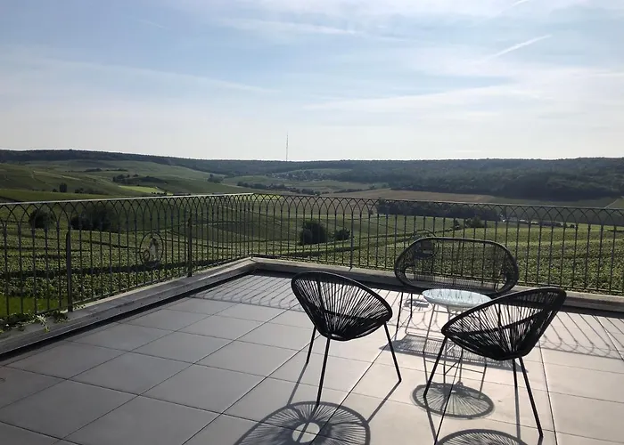 Floressens En Champagne Terrasse Privative Sur Le Vignoble *