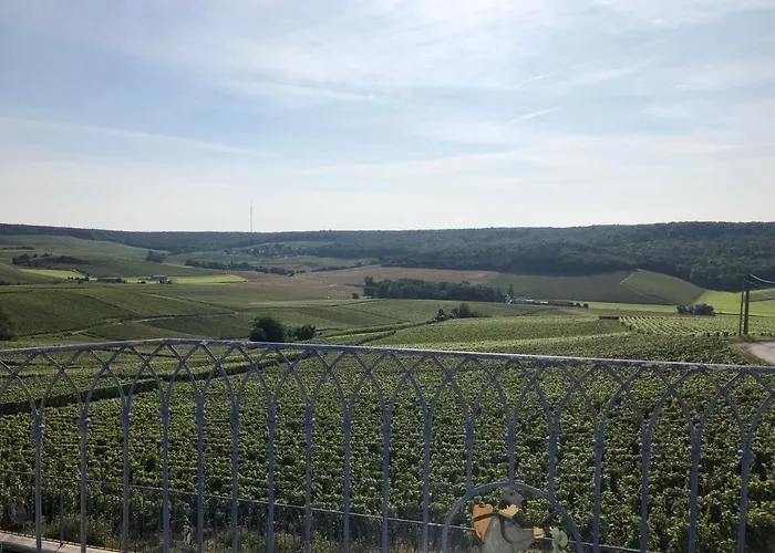 Feriehus Floressens En Champagne Terrasse Privative Sur Le Vignoble