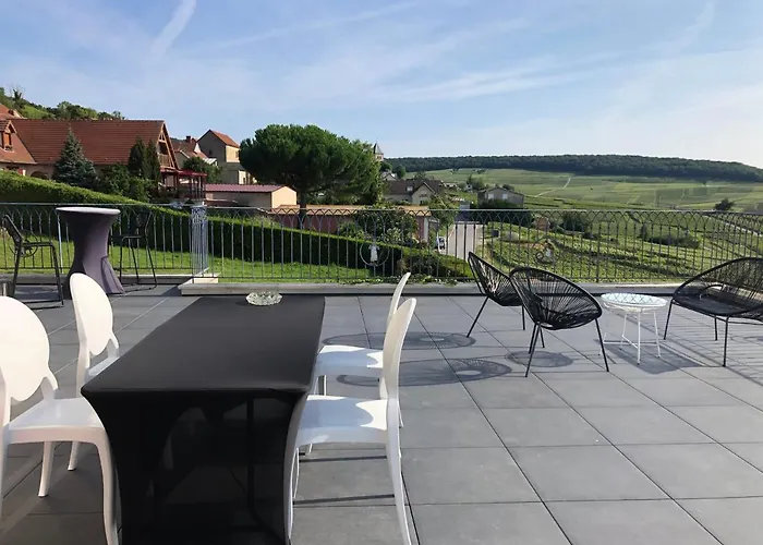 Floressens En Champagne Terrasse Privative Sur Le Vignoble Fleury-la-Riviere
