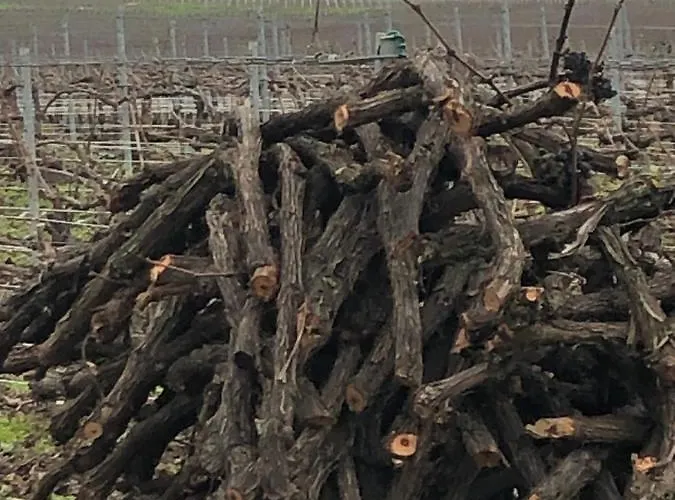 Feriehus Floressens En Champagne Terrasse Privative Sur Le Vignoble