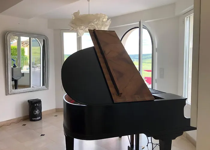 Floressens En Champagne Terrasse Privative Sur Le Vignoble Fleury-la-Riviere