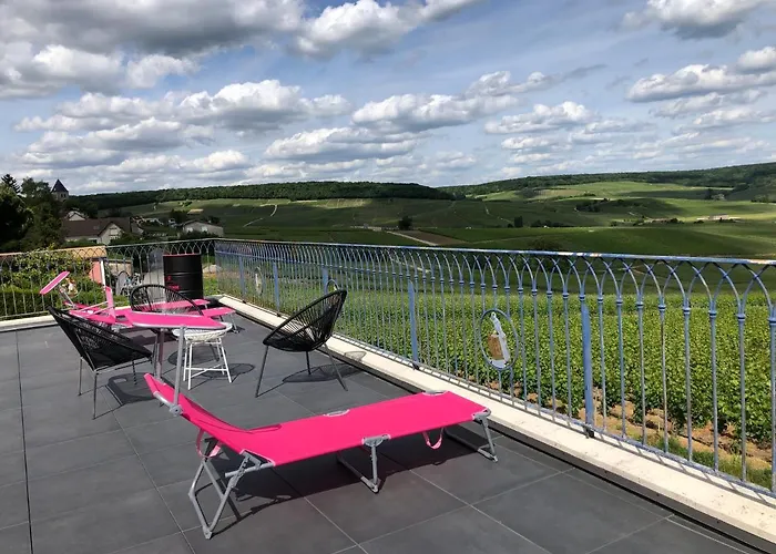 Feriehus Floressens En Champagne Terrasse Privative Sur Le Vignoble *