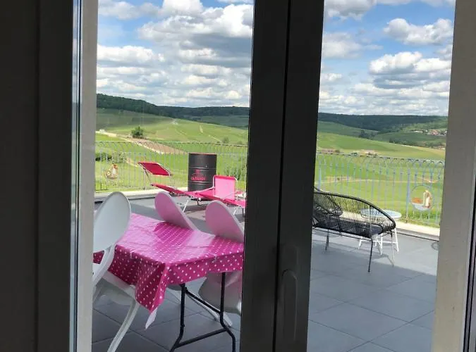 Floressens En Champagne Terrasse Privative Sur Le Vignoble Feriehus Fleury-la-Riviere