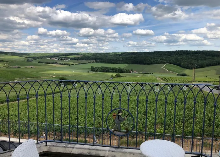 Floressens En Champagne Terrasse Privative Sur Le Vignoble *