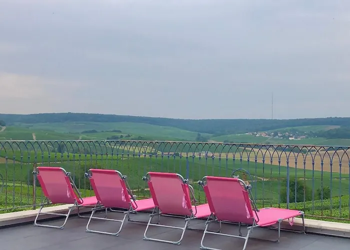 Floressens En Champagne Terrasse Privative Sur Le Vignoble Feriehus