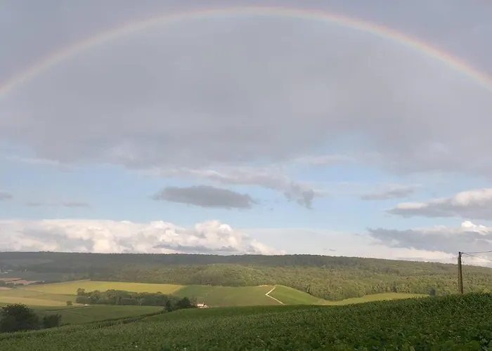 Feriehus Floressens En Champagne Terrasse Privative Sur Le Vignoble