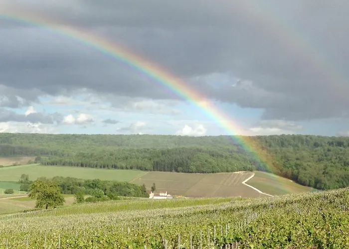 Floressens En Champagne Terrasse Privative Sur Le Vignoble *