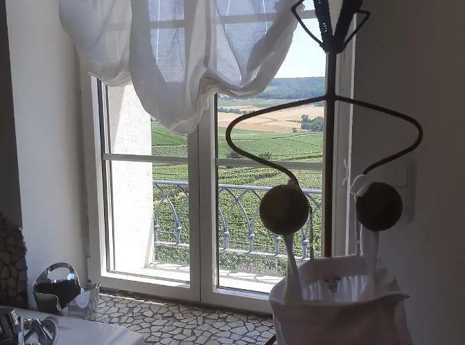 Floressens En Champagne Terrasse Privative Sur Le Vignoble *