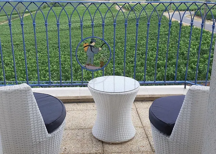Floressens En Champagne Terrasse Privative Sur Le Vignoble Feriehus